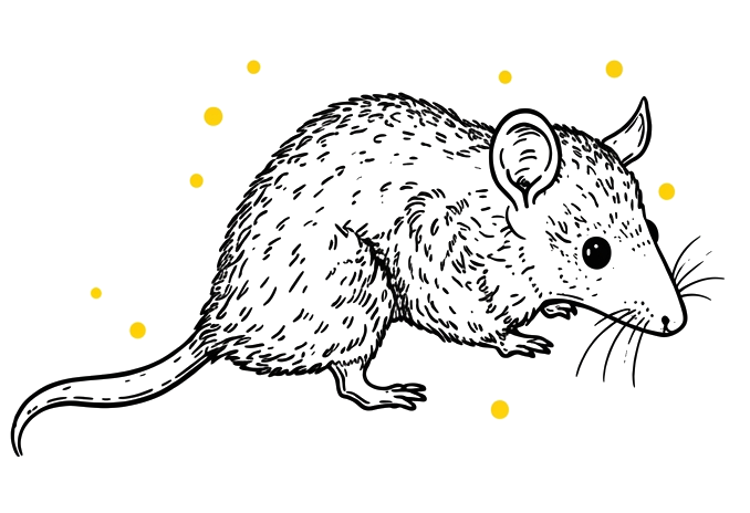 Hand-drawn mouse standing on a live voltage trace